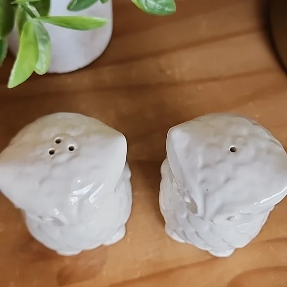 Owl Salt And Pepper Shaker Set - Picture 5 of 5